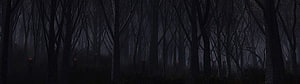 Eerie Dark Forest Scene with Glowing Embers in Misty Nighttime Woods HD wallpaper