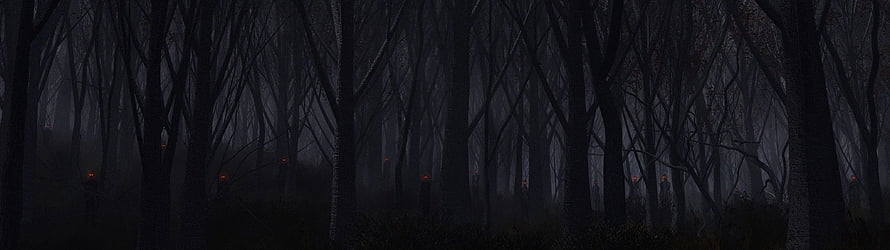 Eerie Dark Forest Scene with Glowing Embers in Misty Nighttime Woods HD wallpaper