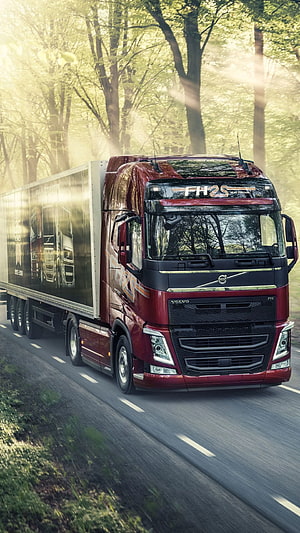 Volvo FH16 Semi Truck Driving Through Sunlit Forest Road HD phone wallpaper