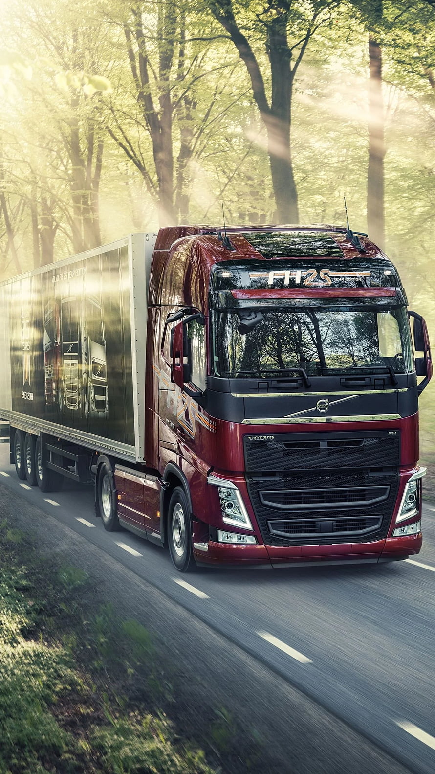Volvo FH16 Semi Truck Driving Through Sunlit Forest Road HD phone wallpaper
