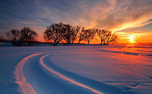 Serene Winter Sunset Over Snowy Field With Silhouetted Trees And Curving Tracks HD wallpaper