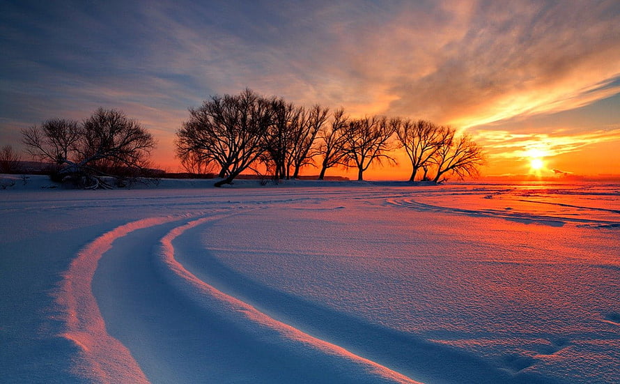 Serene Winter Sunset Over Snowy Field With Silhouetted Trees And Curving Tracks HD wallpaper
