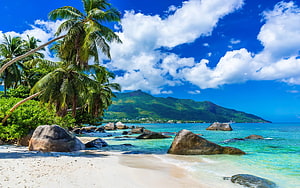 Seychelles Tropical Beach With Palm Trees, Granite Boulders, and Turquoise Ocean Waters HD wallpaper