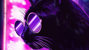 Black Cat Wearing Round Sunglasses Against Vibrant Pink Neon Sign HD wallpaper