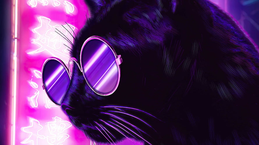Black Cat Wearing Round Sunglasses Against Vibrant Pink Neon Sign HD wallpaper