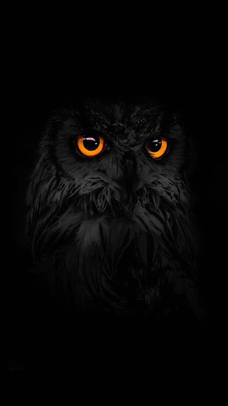 Majestic Black Owl with Glowing Amber Eyes in Dark Shadow HD phone wallpaper