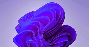 Windows 11 Default Purple Abstract 3D Ribbon Wallpaper HD wallpaper