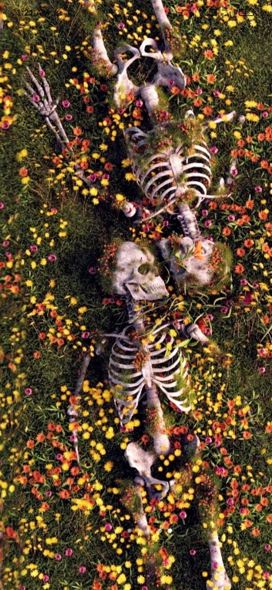 Two Human Skeletons Lying Together in a Vibrant Meadow of Wildflowers, Skeleton Love, broken, Die, couple, Dead, grass HD phone wallpaper