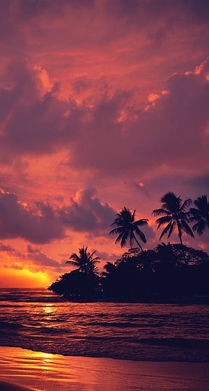 Vibrant Sunset Over Tropical Beach With Silhouetted Palm Trees And Ocean Waves HD phone wallpaper