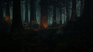 Mystical Dark Forest With Glowing Fireflies And Tall Trees HD wallpaper