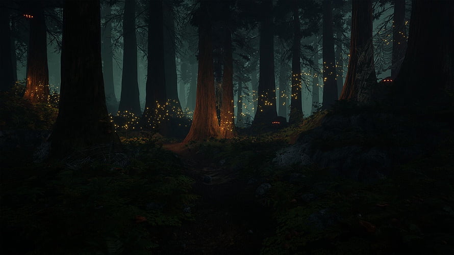 Mystical Dark Forest With Glowing Fireflies And Tall Trees HD wallpaper