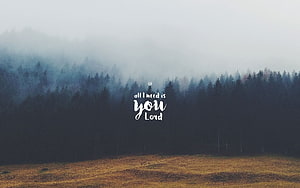 Misty Pine Forest with Inspirational Bible Verse Text Overlay HD wallpaper