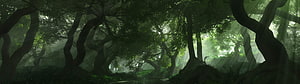 Mystical Enchanted Forest With Twisted Trees And Sunbeams HD wallpaper