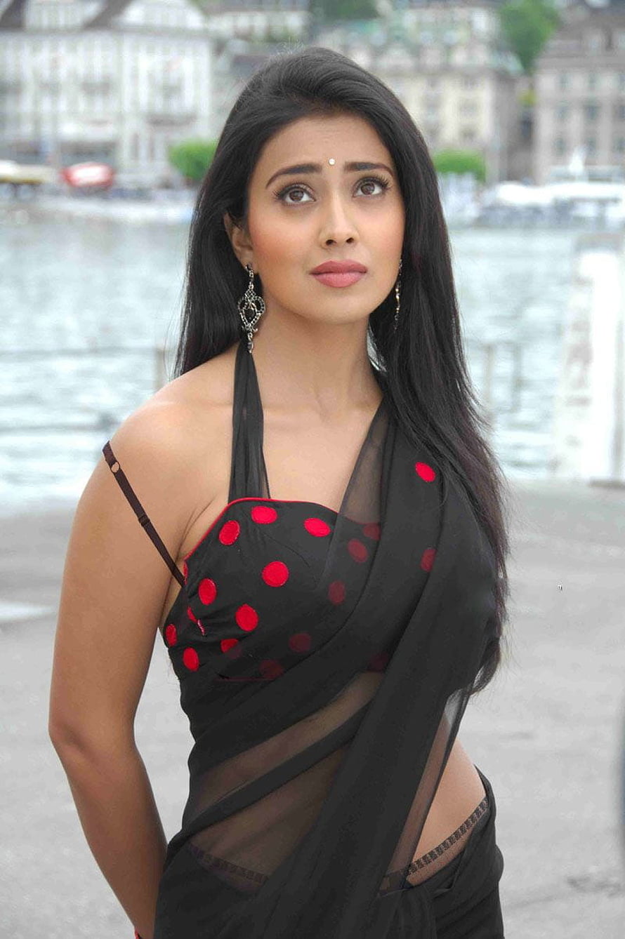Shriya Saran in Black Polka Dot Saree by the Water HD phone wallpaper