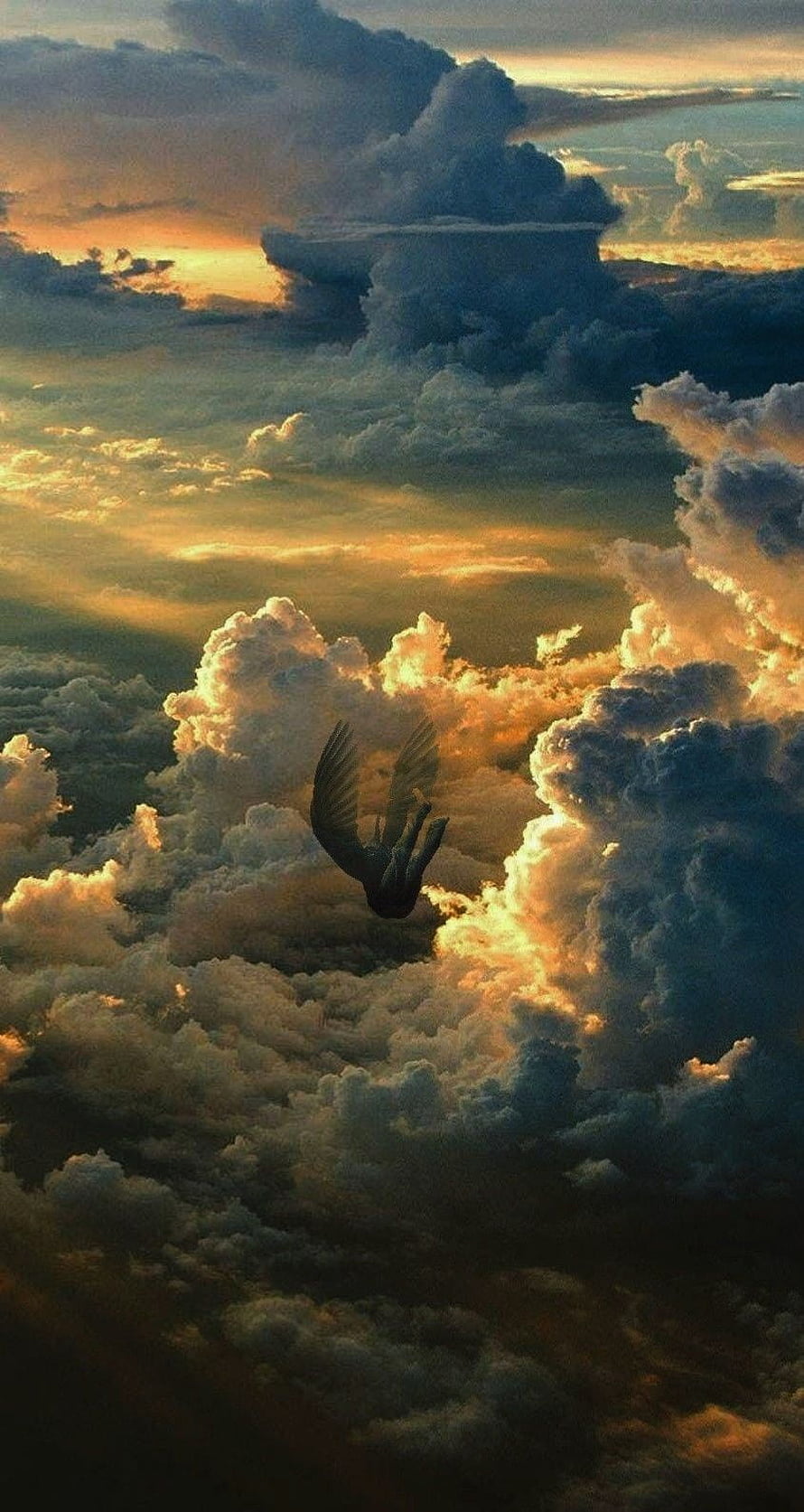 Silhouette of a falling bird soaring through dramatic sunset clouds and golden sky HD phone wallpaper
