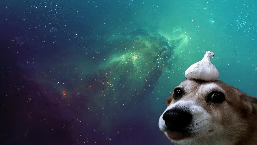 Funny Dog With Garlic Bulb On Head Against Vibrant Green Nebula Space Background HD wallpaper