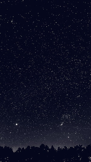 Starry Night Sky Over Silhouetted Forest Horizon in Black and White HD phone wallpaper