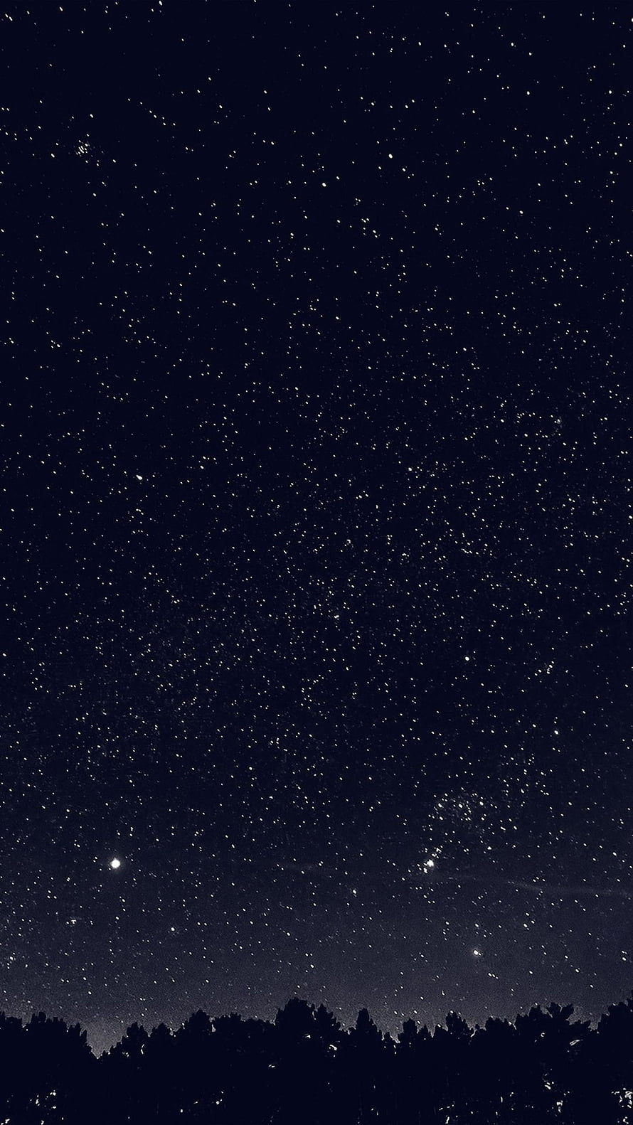 Starry Night Sky Over Silhouetted Forest Horizon in Black and White HD phone wallpaper