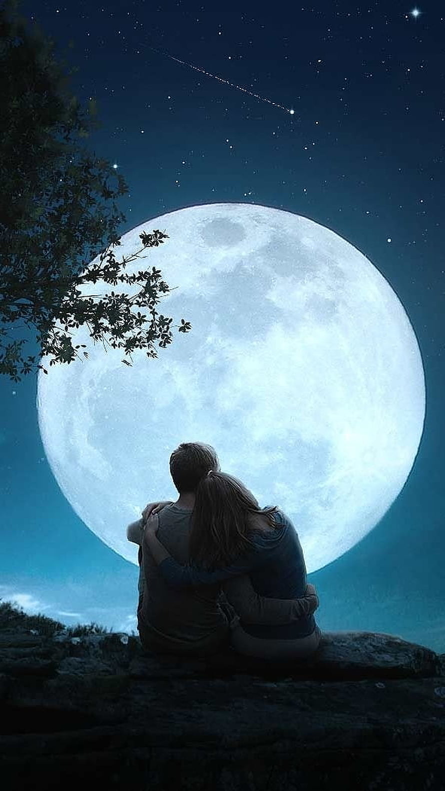 Romantic Couple Watching Giant Full Moon and Shooting Star at Night, Lovers Moon, Sweet, Moonlight, Couple HD phone wallpaper