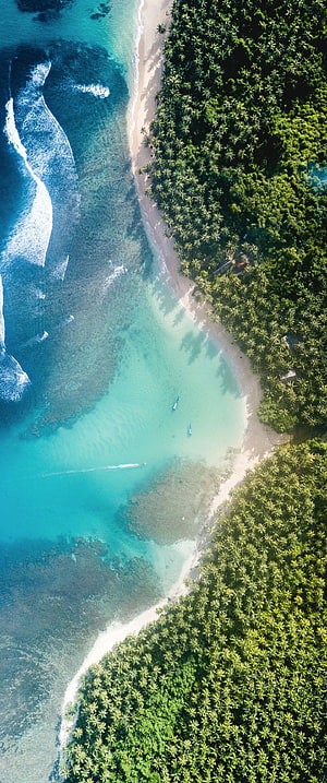 Aerial View of Tropical Island Beach with Turquoise Water and Palm Trees HD phone wallpaper