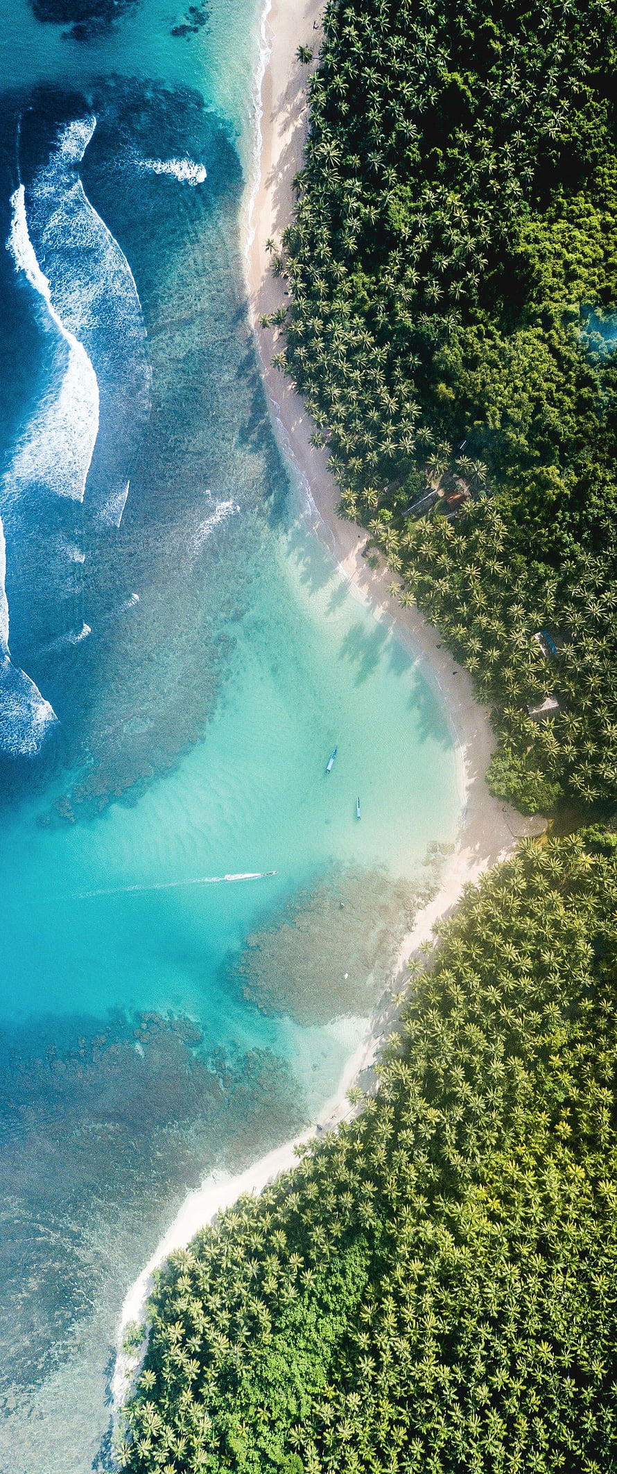 Aerial View of Tropical Island Beach with Turquoise Water and Palm Trees HD phone wallpaper
