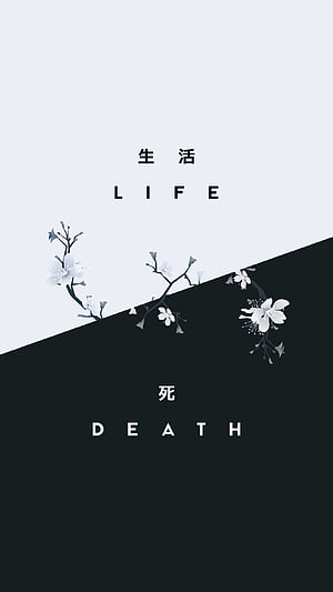 Minimalist Life and Death Concept with Cherry Blossoms HD phone wallpaper