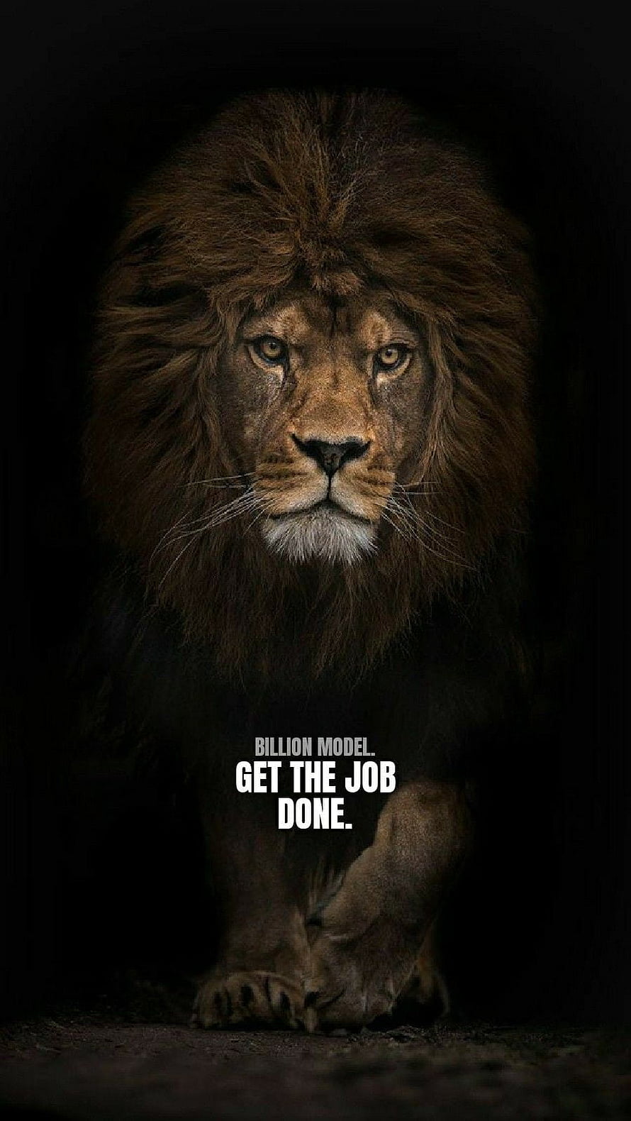 Majestic Male Lion Portrait with Dark Dramatic Lighting and Motivational Quote HD phone wallpaper