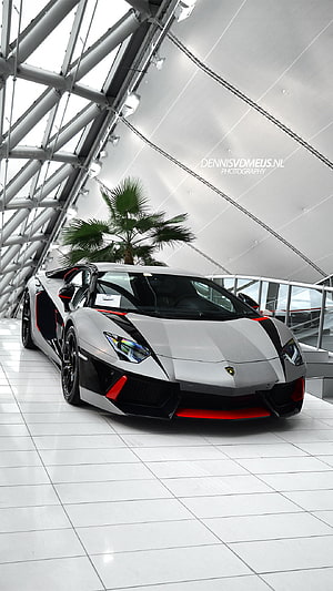 Silver Lamborghini Aventador SVJ with red accents parked in a modern glass showroom HD phone wallpaper