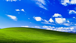 Rolling Green Hills Under a Bright Blue Sky with Fluffy White Clouds HD wallpaper