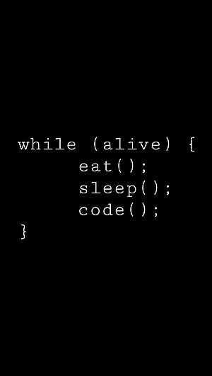 Minimalist Programmer Life Loop Code Snippet Wallpaper HD phone wallpaper