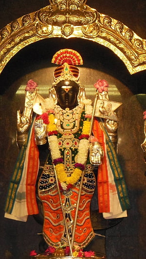 Ornate Black Stone Statue of Hindu Deity Murugan with Golden Crown and Floral Garlands HD phone wallpaper