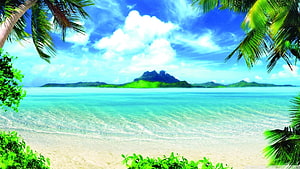 Tropical Paradise Beach with Turquoise Water and Palm Trees HD wallpaper