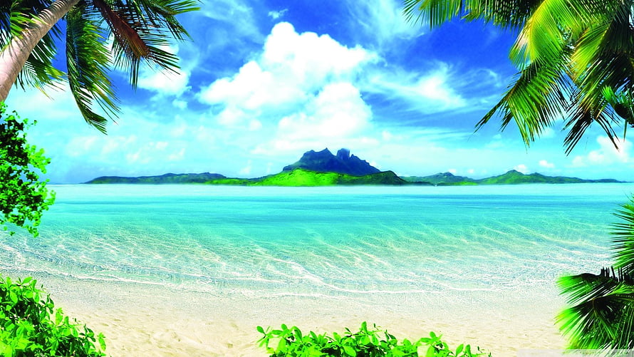 Tropical Paradise Beach with Turquoise Water and Palm Trees HD wallpaper