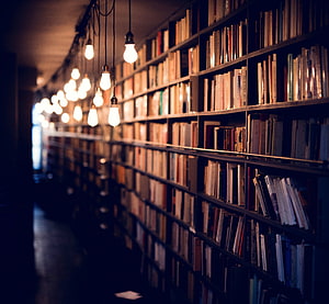 Cozy library aisle with warm hanging Edison bulbs illuminating tall wooden bookshelves HD wallpaper