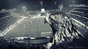 Besiktas Stadium Eagle Crest and Night Football Match Atmosphere HD wallpaper