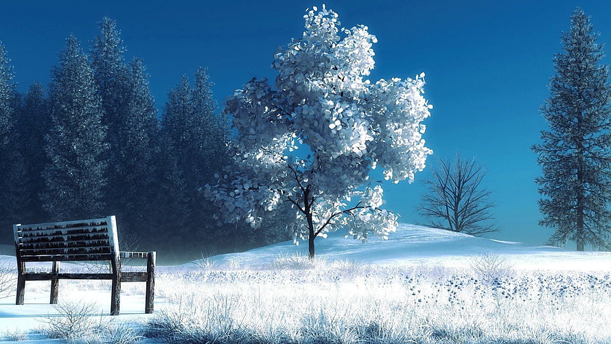 Serene Winter Landscape With Snowy Bench And Frosted Trees Under Blue Sky HD wallpaper