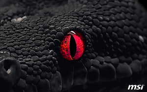 MSI Gaming Snake Logo Wallpaper with Red Eye and Black Scales HD wallpaper