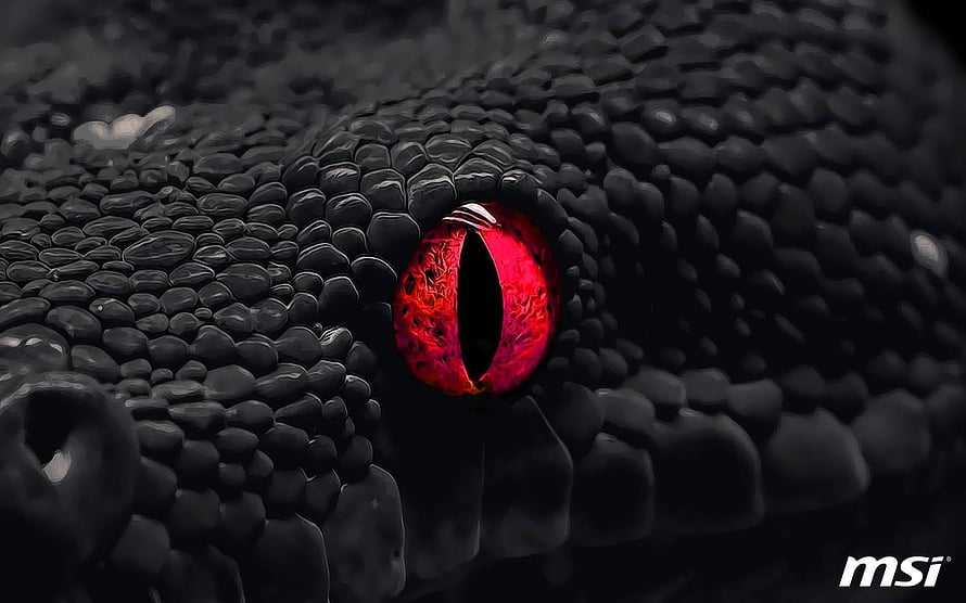 MSI Gaming Snake Logo Wallpaper with Red Eye and Black Scales HD wallpaper
