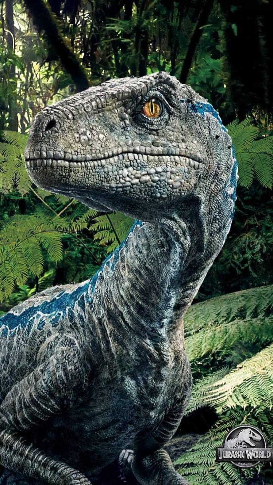Blue Velociraptor from Jurassic World in Lush Jungle Setting HD phone wallpaper
