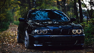 Black BMW E39 M5 Sedan Parked on a Forest Path with Autumn Foliage HD wallpaper