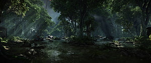 Mystical Forest Stream with Sunbeams and Lush Greenery HD wallpaper