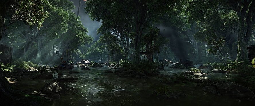 Mystical Forest Stream with Sunbeams and Lush Greenery HD wallpaper