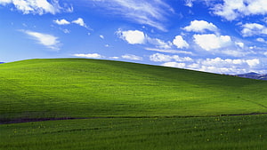 Bliss Windows XP Default Desktop Wallpaper Green Hill Blue Sky HD wallpaper