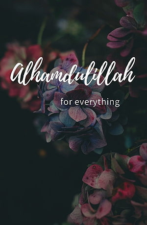 Alhamdulillah for Everything Islamic Quote on Dark Hydrangea Background HD phone wallpaper