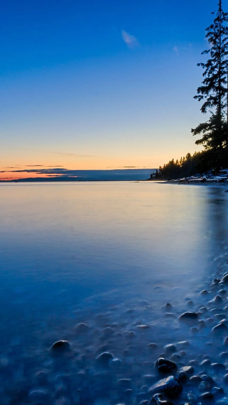 Serene Lake Shoreline at Dusk with Pine Trees and Smooth Water HD phone wallpaper