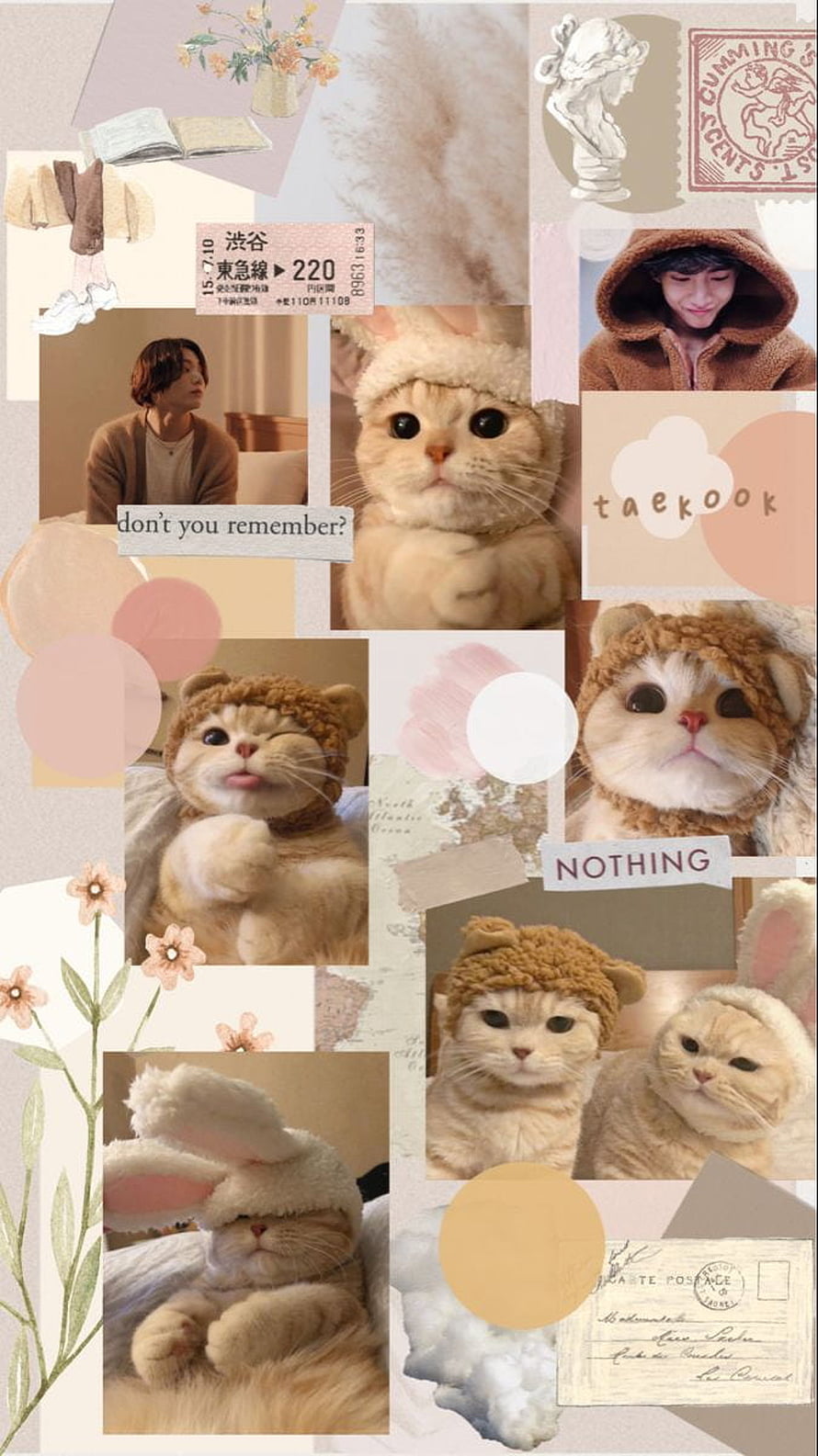 Taekook Aesthetic Collage Featuring Cute Cats in Cozy Hats and Soft Pastel Decor HD phone wallpaper