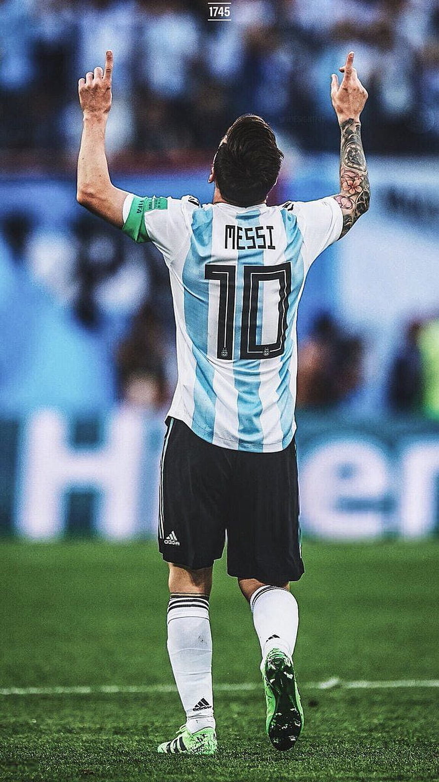 Lionel Messi in Argentina National Team Kit Celebrating on the Pitch HD phone wallpaper