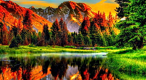 Vibrant Mountain Lake Reflection at Golden Hour with Pine Forest and Snow-Capped Peaks HD wallpaper