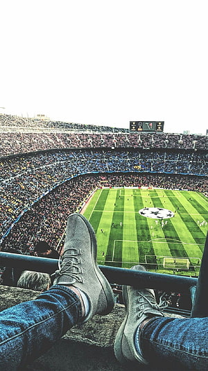 Relaxing View of a Packed Football Stadium with Champions League Pitch HD phone wallpaper