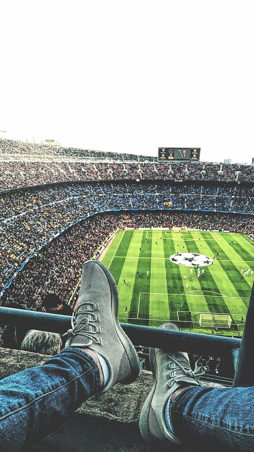 Relaxing View of a Packed Football Stadium with Champions League Pitch HD phone wallpaper